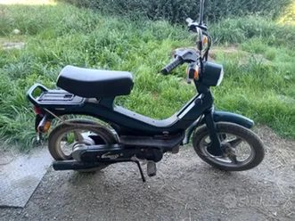 piaggio grillo