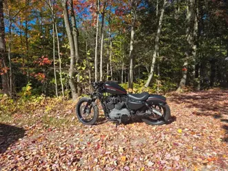 harley davidson nightster 1200 xl