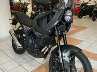 brixton crossfire storr pronta consegna