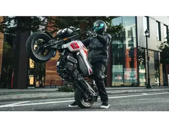 2026 cfmoto papio cl