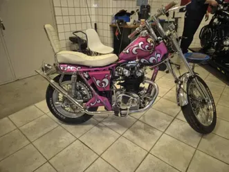 honda retro -flower power model