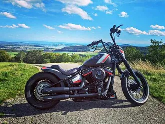 harley-davidson softail standard 107