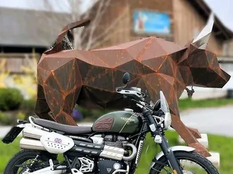 occasion triumph scrambler 1200 xc