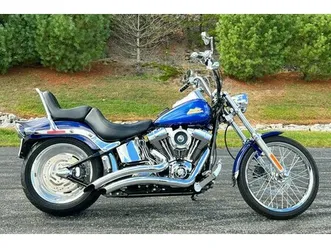 2007 harley-davidson softail fxstc - custom