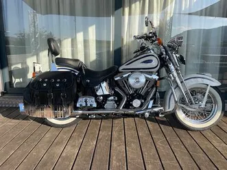 flsts heritage springer