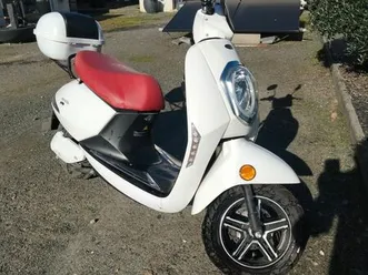 scooter électrique wayscral e-start