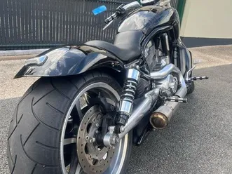 harley davidson 1250 vrod muscle