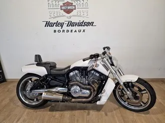 harley-davidson v-rod muscle 1250 2014 1250 cm3 | moto custom | 20 500 km | blanc | 33130 begles