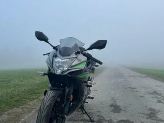 kawasaki ninja 125 performance