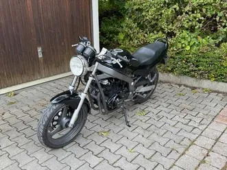suzuki gs500e