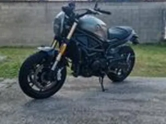 benelli leoncino 800 - 2022