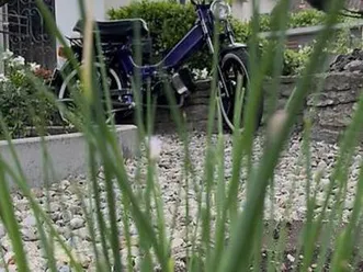 tomos sprint 65 cc mit ausweis canton berne -