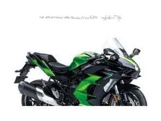 ninja h2 sx se (2023 - 26)