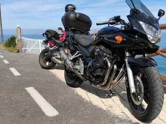 suzuki gsf bandit 650 fermentões