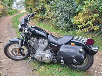 special skull edition