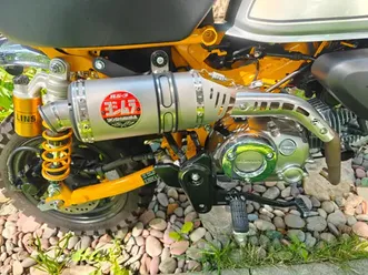 2023 modified honda monkey 125