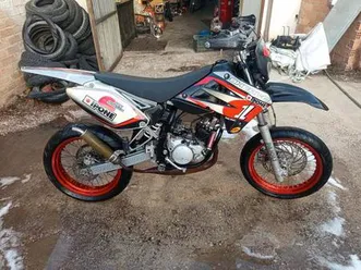 sherco - sm replica ipone