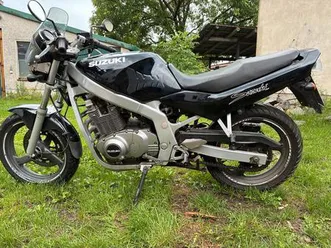 suzuki gs 500