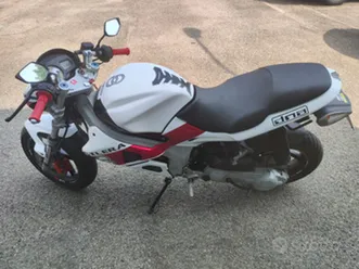 gilera dna