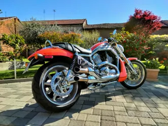harley davidson vrscr