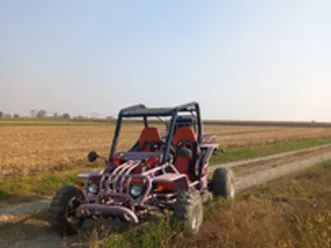 buggy gs moon 260