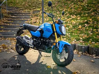 honda msx125 grom motorrad pocketbike a1 b196 wohnmobil 2025 neu