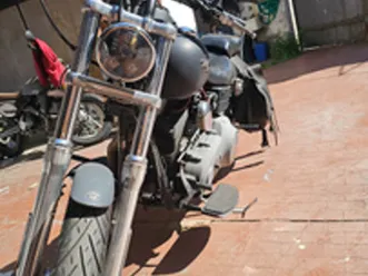 harley davidson street bob