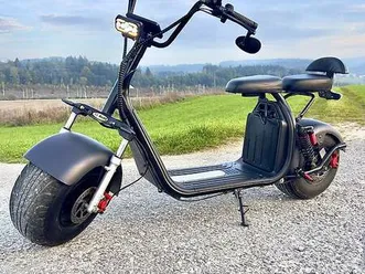 top elektromobile e-roller 1500w 50kmh elektro scooter canton berne -