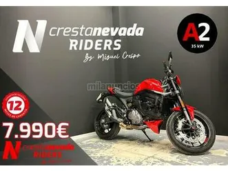 ducati - monster