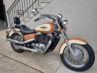 vt 1100 c2 s-w shadow