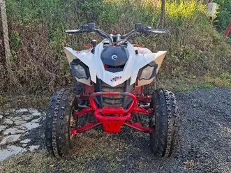 can-am ds 250 2009 →