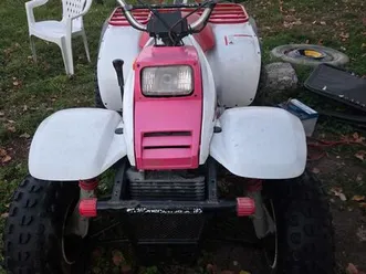 quad polaris 325