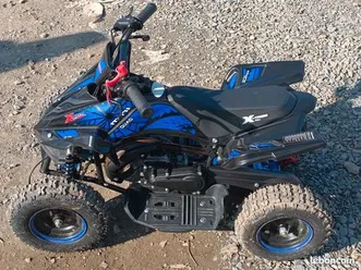 vend pocket quad 50 cc