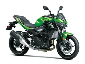 2024 kawasaki z500 abs