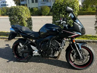 fz6
