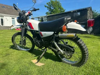 1981 dt175