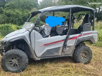 buggy yamaha wolverine 850 x4