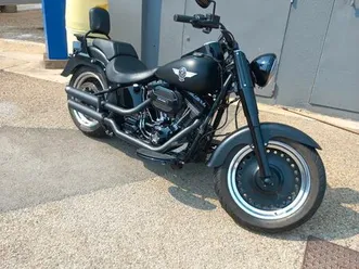 harley davidson screamin eagle