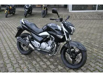 suzuki gw 250 inazuma