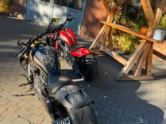 harley davidson night rod