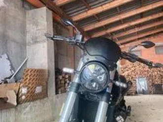 benelli leoncino 500 - 2023