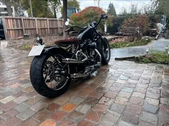 ② harley sportster 1200 custom