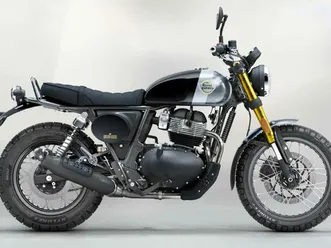 royal enfield bear 650 golden shadow