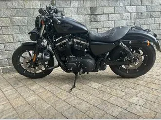 harley davidson 883 sportster iron