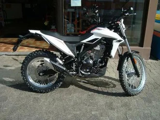 beta alp 4.0 modell 2025