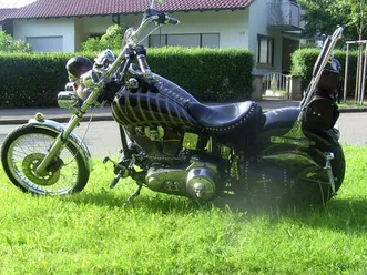 harley softail skull - bike