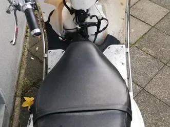 roller nach vandalismus preiswert abzugeben