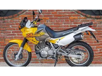 vendo honda nx 650 dominator (1996 - 02) usata a asiago (codice 9860563) - moto.it