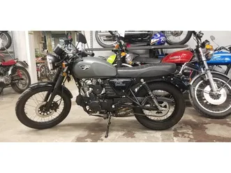 greystone 50 masai gris