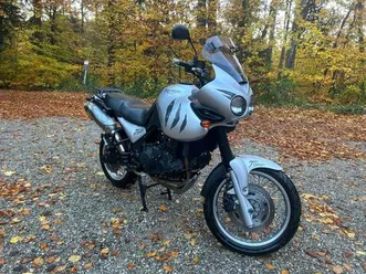 triumph tiger 955i